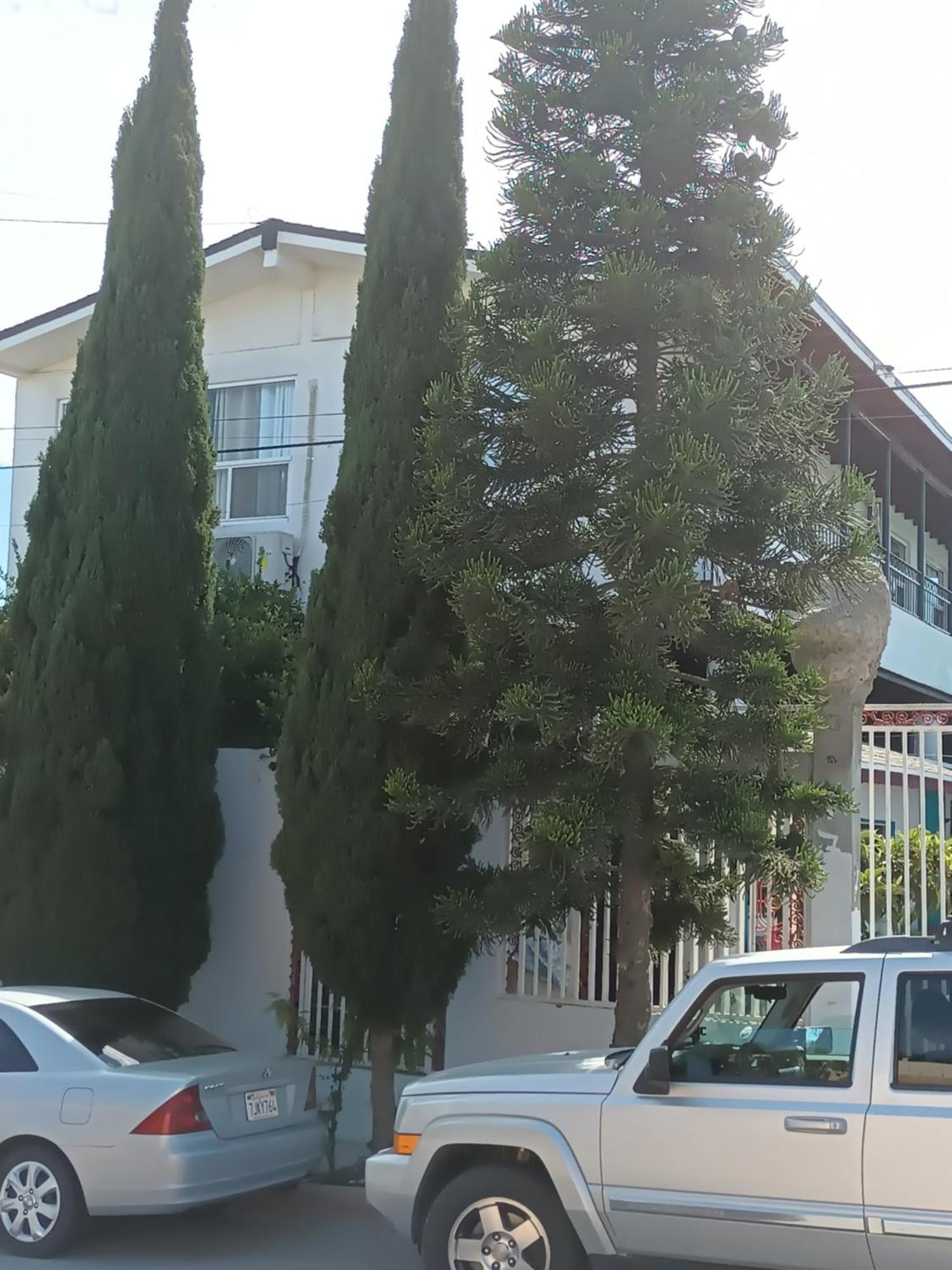 Apartamentos Rosarito.!! Con Vista Al Mar ! Exterior photo