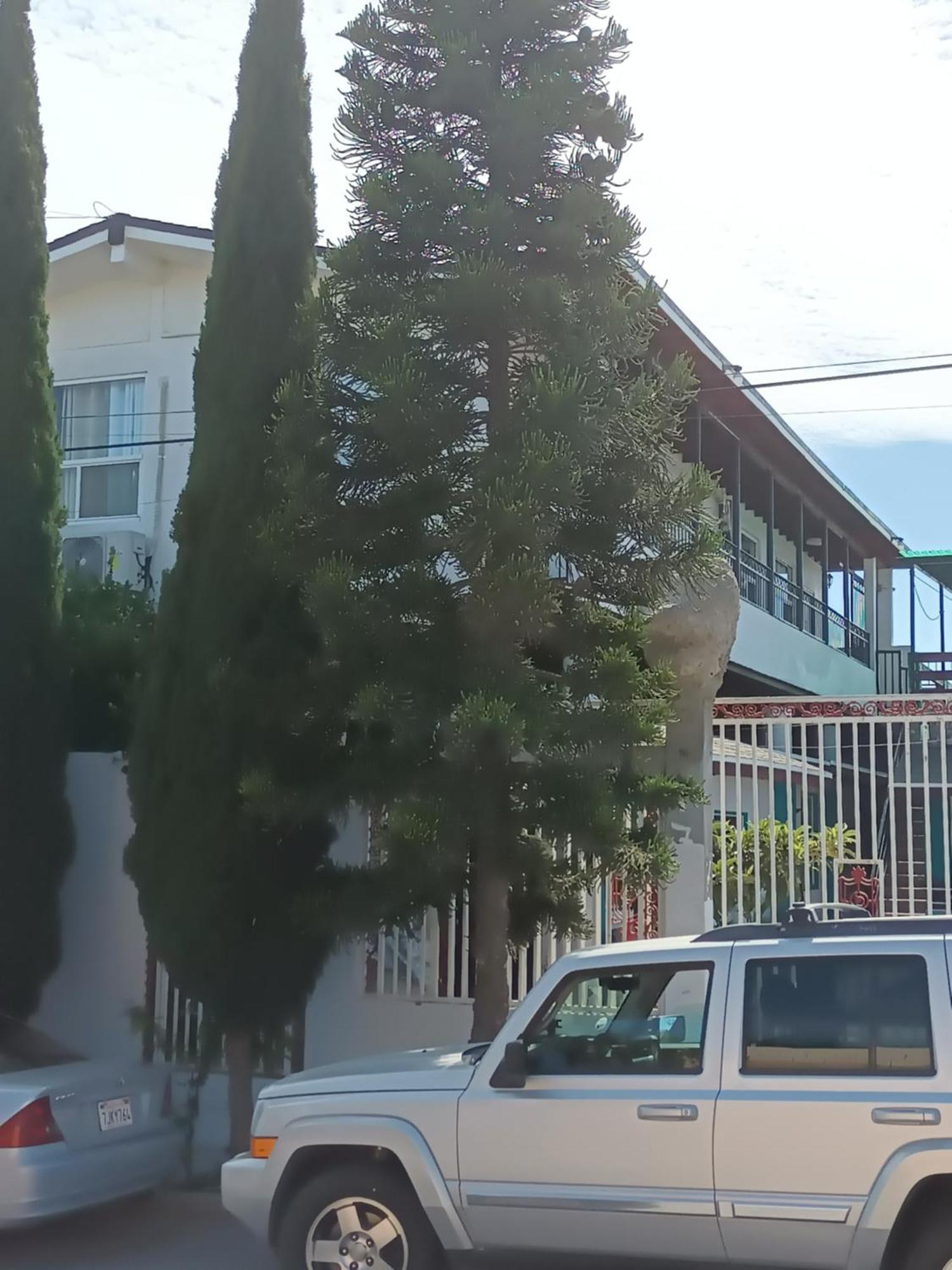 Apartamentos Rosarito.!! Con Vista Al Mar ! Exterior photo